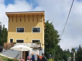Chalet Jaune PINEA