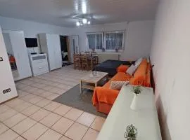 Ferienwohnung Neli am Rhein