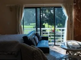 Large Luxury Studio with View in Santa Monica