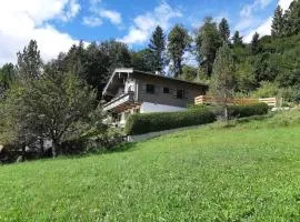 Pretty apartment in Mittersill with a view