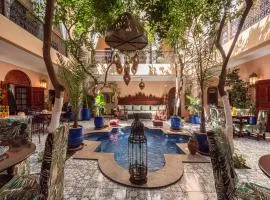 Riad Dar El Médina - Heated Swimming pool, jacuzzi & Spa