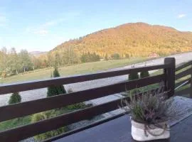 Domki Wichrowe Wzgórze Bieszczady