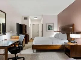 Hilton Garden Inn New Orleans French Quarter/CBD