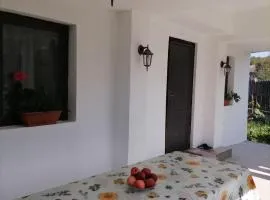 Casa Michel