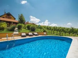 Family friendly house with a swimming pool Varazdinske Toplice, Zagorje - 21750