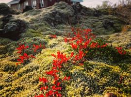 House in lava, hotel in Bifrost
