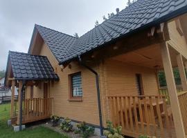 Kaszubski dom pod lasem, self catering accommodation in Studzienice