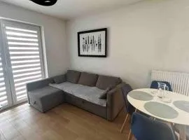 Przytulny apartament z dużym balkonem