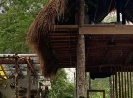 Uwak Gallery