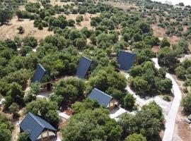 Nature Forest Cabins, campground in Jerash