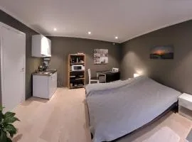 Stilren suite med egen inngang og kokemuligheter.