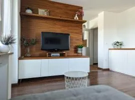 Domen's cozy rentals