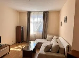 Spacious studio sleeps 4 in Flora main building 706A