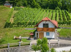 Vineyard Cottage Krivic - Happy Rentals
