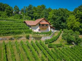 Vineyard Cottage Ucman - Happy Rentals, vacation home in Otočec