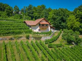 Vineyard Cottage Ucman - Happy Rentals, hotel a Otočec