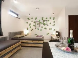 Apartmán Wellness Veselí