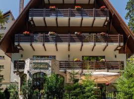 Opus Villa, accommodation in Sinaia