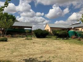 New Joy, בית חווה בBloemfontein