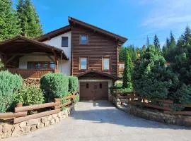 Sarajevo Forest Retreat