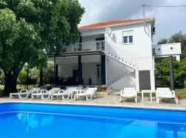 Apartment 877-3