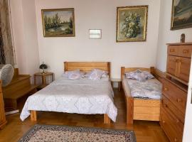 Perfect Remote-Workplace in Sunny Apartment, huisdiervriendelijk hotel in Myślenice