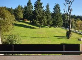 Apartment mit 2 Zimmer im Bayerischen Wald
