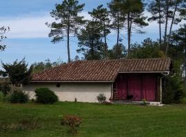 Maison confort,terrasse en bois , 2 chambres, sur un parc de 4000m2 arboré et clos, cottage a Pissos