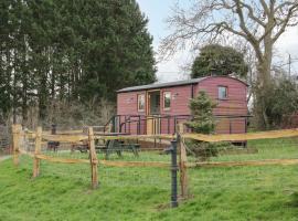 The Shire Shepherds Hut, holiday home in St Asaph