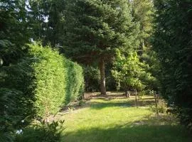 Domek Letniskowy Mietlica