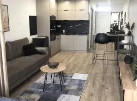 BMZ Centrum Flat