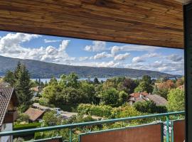 Le belvedere de Menthon, hotel in Menthon-Saint-Bernard