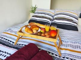 Peaceful cocoon, self-catering accommodation in Chatou