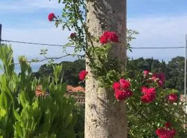 Villa Anica Dubrovnik - luxurious with a sea view