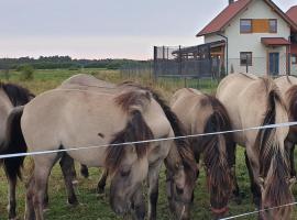 Słowińskie Widoki domki Flora, Fauna, noclegi Smołdziński Las, Cottage in Smołdziński Las