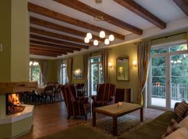 Vila Cetina, hotel v destinaci Beliş