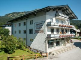 Pension Elisabeth, ski resort in Russbach am Pass Gschütt