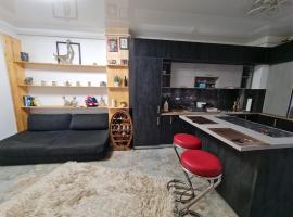 Luxury Flat Nicol, camera con cucina a Valea Adîncă