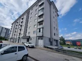 Apartman Tesla Pale