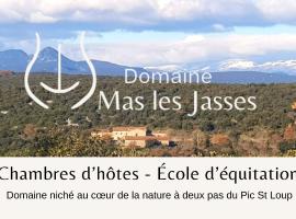 Mas les jasses Chambre d'hôte calme et agréable à la campagne, hotel s parkiralištem u gradu 'Ferrières-les-Verreries'