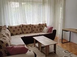 Apartmani Vesna