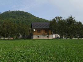 Family friendly house with a parking space Aleksinica, Velebit - 21682, hotel a Klanac