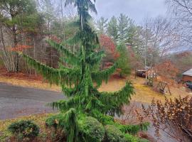 Evergreen Retreat, cottage in Fleetwood