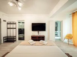 Amazing Cozy Studios in Iasi City
