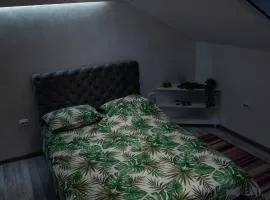 Garden apartment & parking