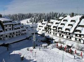 Snow White apartments, holiday rental in Kopaonik