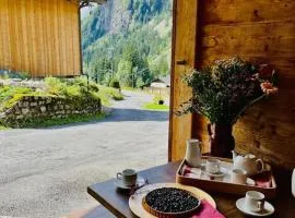Chalet Les Lanchettes