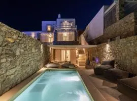 Actors Spa Villa-Mini Pool