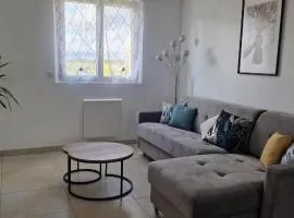 L'étape champenoise appartement