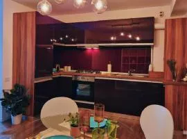 FREE PARKING & Self Check-IN WestSide Studio Near the Lake, Lacul Morii, Near Metro Stations Sector 6